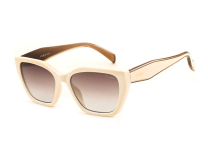 IRUS X AECO  Women Sunglasses